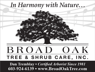Broad Oak Tree & Shrub Care